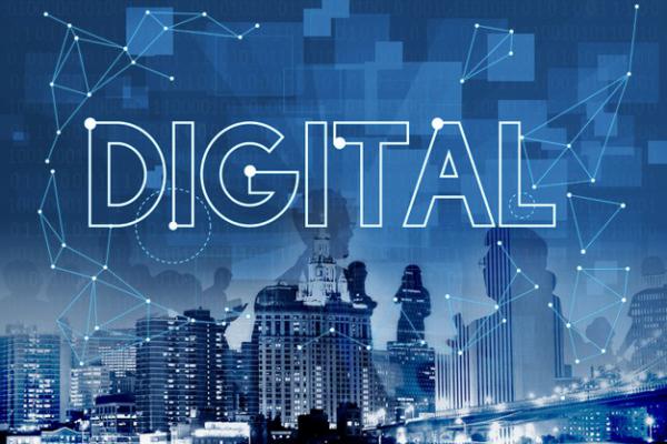 Streamline customized models